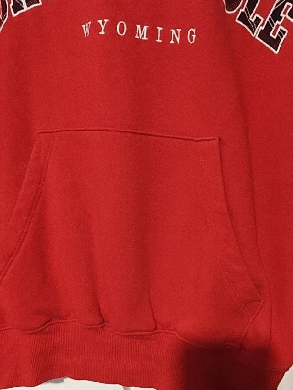 wild fable Red Jackson Hole Graphic Hoodie Unisex Oversized Medium VGC.